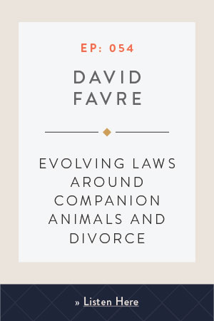 Evolving Laws Around Companion Animals and Divorce with David Favre