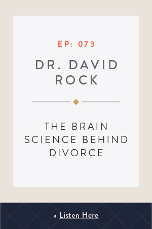 The Brain Science Behind Divorce with Dr. David Rock